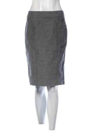 Fustă Danini, Mărime M, Culoare Gri, Preț 47,24 Lei, #137313643