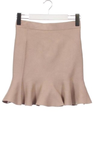 Fustă Unbranded, Mărime XS, Culoare Maro, Preț 57,74 Lei, #137210235