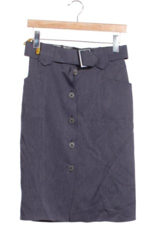 Φούστα Unbranded, Μέγεθος XS, Χρώμα Γκρί, Τιμή 6,86 €, #137300127