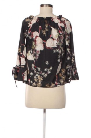 Damen Shirt Pittarello, Größe M, Farbe Mehrfarbig, Preis 1,99 €