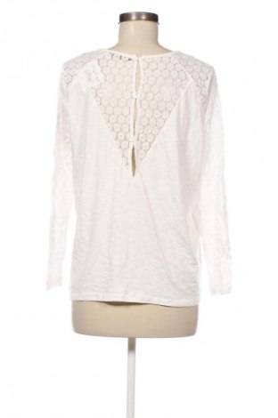 Damen Shirt SHEIN, Größe M, Farbe Weiß, Preis 1,99 €