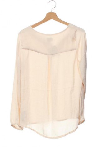 Damen Shirt Saint Tropez, Größe XS, Farbe Ecru, Preis 1,99 €