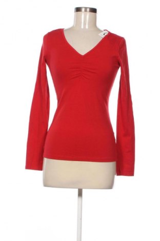 Damen Shirt Sinsay, Größe S, Farbe Rot, Preis 3,99 €