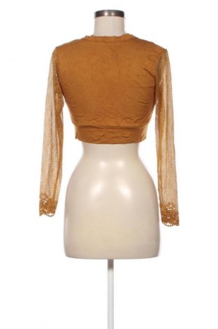 Dámska košeľa  Trio, Veľkosť M, Farba Hnedá, Cena  1,95 €