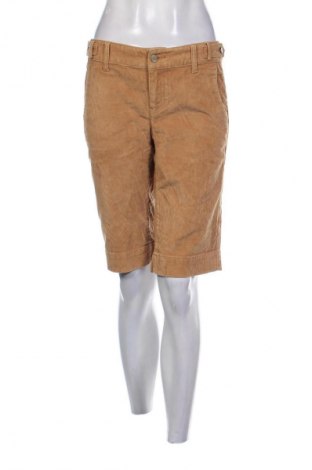 Damskie szorty Gap, Rozmiar M, Kolor Brązowy, Cena 29,61 zł