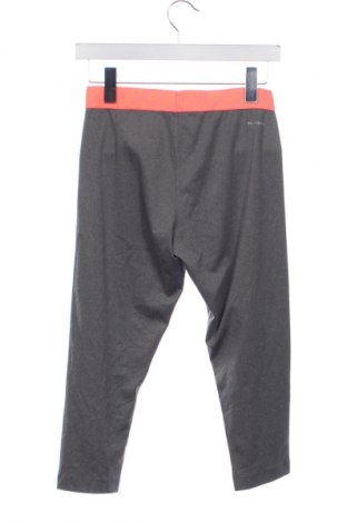 Dámske legíny  Reebok, Veľkosť XS, Farba Sivá, Cena  2,95 €