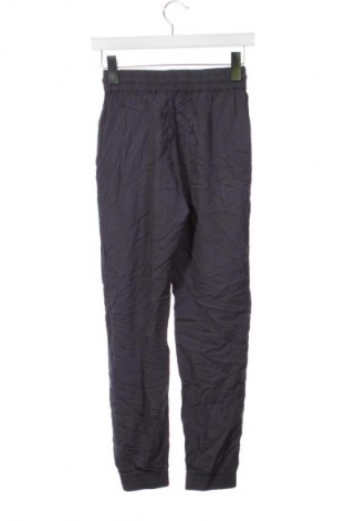 Γυναικείο παντελόνι Terranova, Μέγεθος XS, Χρώμα Γκρί, Τιμή 3,99 €