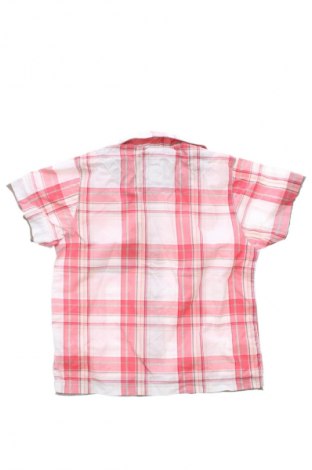 Детска риза Early Days, Размер 12-18m/ 80-86 см, Цвят Многоцветен, Цена 2,04 €