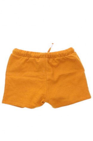 Dziecięce szorty Next, Rozmiar 2-3y/ 98-104 cm, Kolor Pomarańczowy, Cena 46,99 zł