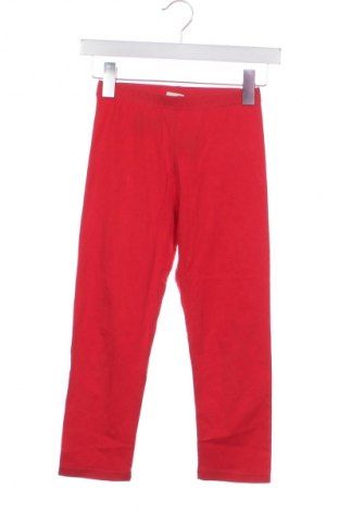 Dziecięce legginsy Coccodrillo, Rozmiar 12-13y/ 158-164 cm, Kolor Czerwony, Cena 18,33 zł
