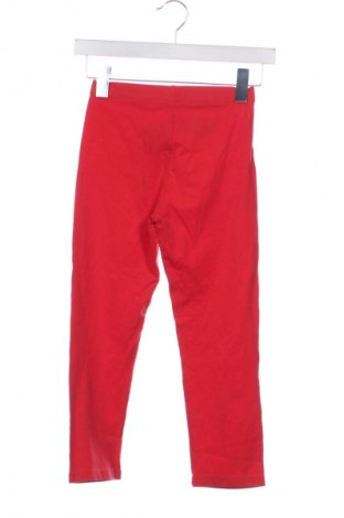 Dziecięce legginsy Coccodrillo, Rozmiar 12-13y/ 158-164 cm, Kolor Czerwony, Cena 18,33 zł