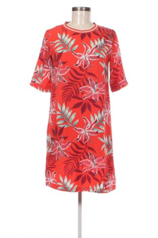 Kleid Hema, Größe S, Farbe Mehrfarbig, Preis 4,99 €