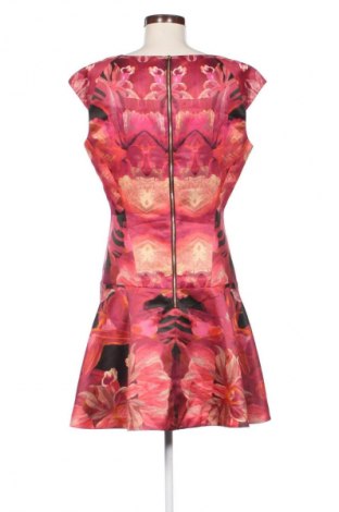 Kleid Ted Baker, Größe M, Farbe Mehrfarbig, Preis 53,99 €