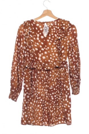 Kleid Zara, Größe XS, Farbe Mehrfarbig, Preis € 4,99