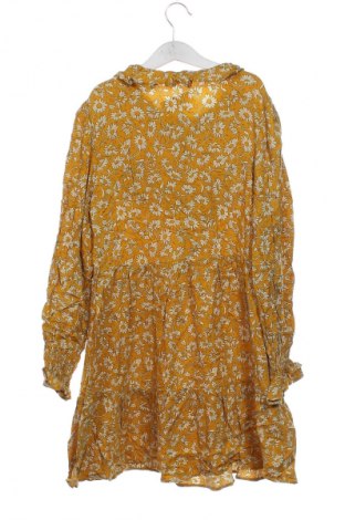 Kleid Zara, Größe XS, Farbe Mehrfarbig, Preis € 4,99