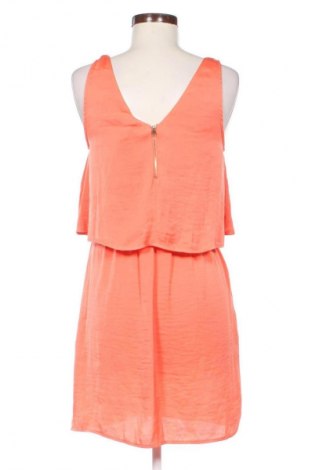 Ruha Zebra, Méret M, Szín Narancssárga
, Ár 689 Ft