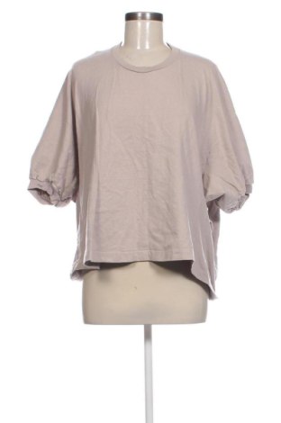 Damen Shirt Zara, Größe L, Farbe Aschrosa, Preis € 15,05, #137345929