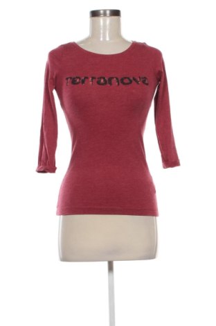 Damen Shirt Terranova, Größe XS, Farbe Rot, Preis € 4,00, #137364371