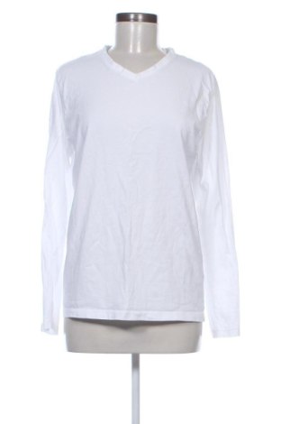 Damen Shirt Sinsay, Größe L, Farbe Weiß, Preis € 6,00, #137364574