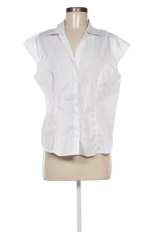 Damenbluse In Extenso, Größe XL, Farbe Weiß, Preis € 12,05, #137369635