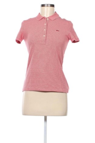Damski T-shirt Lacoste, Rozmiar S, Kolor Kolorowy, Cena 136,00 zł, #137345146