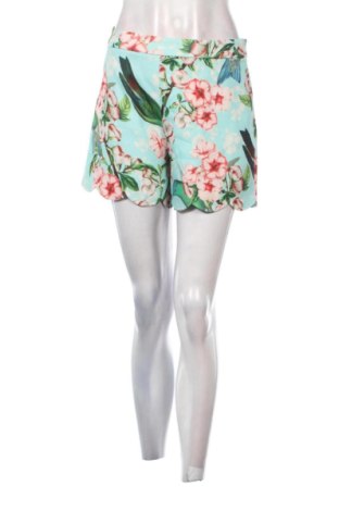 Damen Shorts Ted Baker, Größe S, Farbe Mehrfarbig, Preis € 110,08, #137374490