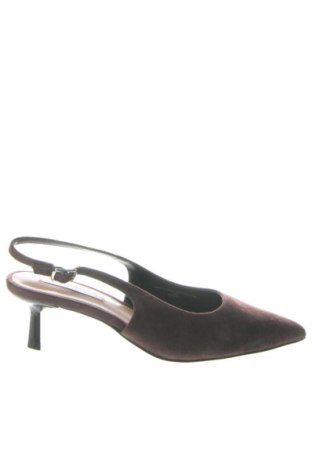 Obuwie damskie Steve Madden, Rozmiar 37, Kolor Brązowy, Cena 468,99 zł, #137370773