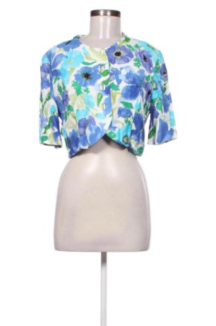 Damen Blazer Unbranded, Größe L, Farbe Mehrfarbig, Preis 5,00 €, #137380103