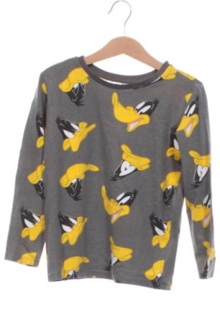 Gyerek blúz Looney Tunes, Méret 4-5y / 110-116 cm, Szín Szürke, Ár 2 094 Ft, #137377307