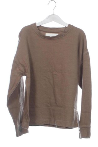 Bluză pentru copii Zara, Mărime 7-8y/ 128-134 cm, Culoare Maro, Preț 47,17 Lei, #137395571