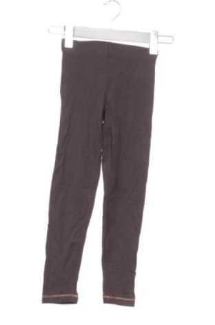 Dziecięce legginsy Orchestra, Rozmiar 6-7y/ 122-128 cm, Kolor Szary, Cena 25,81 zł, #137372717