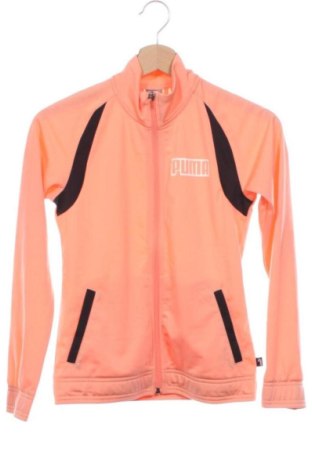 Dziecięca sportowa bluza PUMA, Rozmiar 10-11y/ 146-152 cm, Kolor Pomarańczowy, Cena 62,10 zł, #137304556
