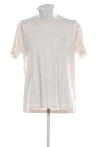 Męski T-shirt Abercrombie & Fitch, Rozmiar XL, Kolor ecru, Cena 78,99 zł, #137386367