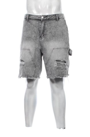 Herren Shorts Unbranded, Größe L, Farbe Grau, Preis 20,00 €, #137295097