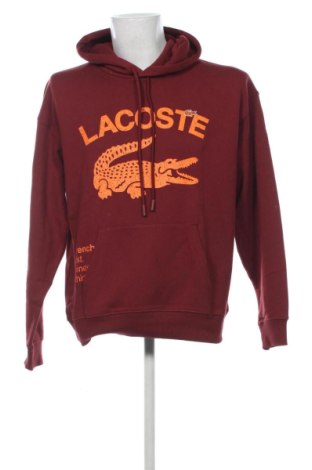 Herren Sweatshirt Lacoste, Größe S, Farbe Mehrfarbig, Preis 89,99 €, #137146387