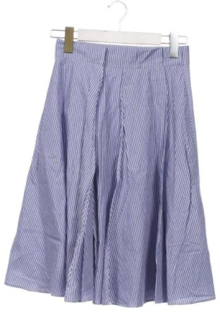 Fustă Zara, Mărime XS, Culoare Multicolor, Preț 61,46 Lei, #137327588
