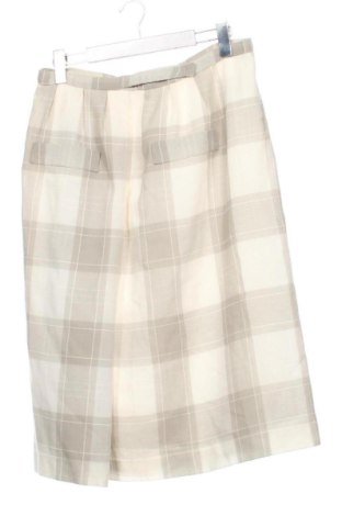 Fustă Unbranded, Mărime L, Culoare Multicolor, Preț 62,99 Lei, #137332789