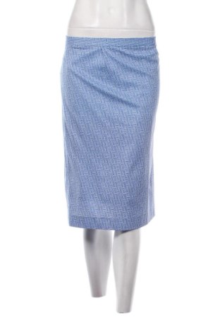 Φούστα Unbranded, Μέγεθος M, Χρώμα Πολύχρωμο, Τιμή 6,00 €, #137338089