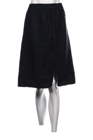 Φούστα COS, Μέγεθος XL, Χρώμα Μπλέ, Τιμή 20,00 €, #137368832