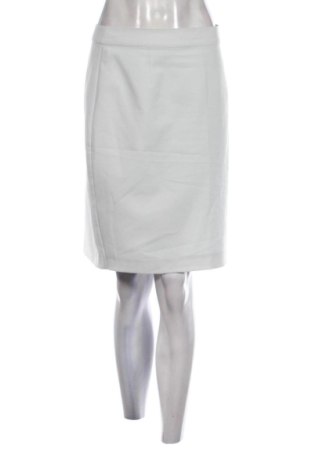 Φούστα Ann Christine, Μέγεθος L, Χρώμα Γκρί, Τιμή 18,48 €, #137373626