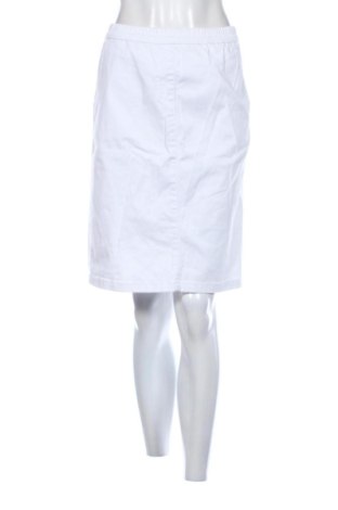 Sukňa Bpc Bonprix Collection, Veľkosť L, Farba Biela, Cena  5,67 €, #137380483