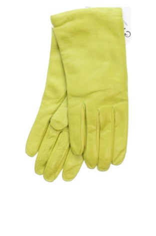 Rękawiczki Unbranded, Kolor Zielony, Cena 93,56 zł, #137355442