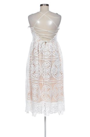 Sukienka Chicwish, Rozmiar M, Kolor Kolorowy, Cena 220,14 zł, #137339129