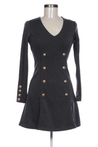 Kleid Chiara Forthi, Größe XS, Farbe Grau, Preis € 19,00, #137365608