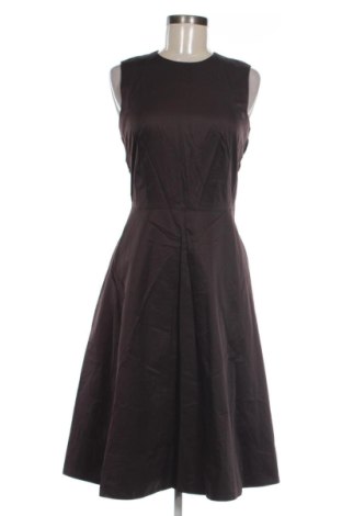 Kleid Hobb's, Größe S, Farbe Braun, Preis € 27,00, #137372747