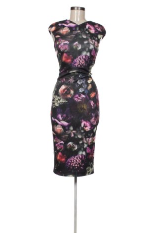 Kleid Ted Baker, Größe XS, Farbe Mehrfarbig, Preis € 180,00, #137375408