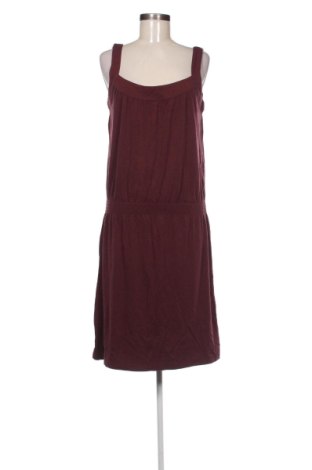 Kleid Ann Taylor, Größe M, Farbe Rot, Preis € 36,85, #137384354