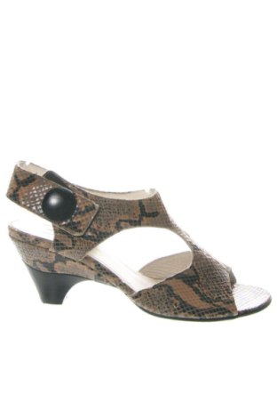 Sandalen Alpina, Größe 39, Farbe Mehrfarbig, Preis 54,30 €, #137313472