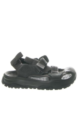 Sandalen Converse, Größe 38, Farbe Grau, Preis 60,18 €, #137348347