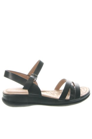Sandalen Paola Bacelli, Größe 41, Farbe Schwarz, Preis 25,23 €, #137379581